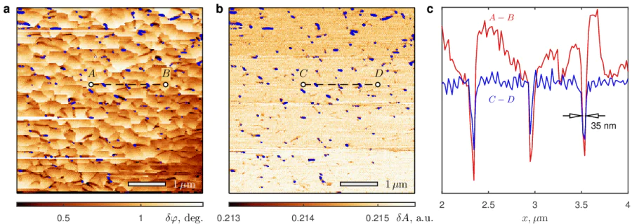 a,b -- Spatial distributions of the phase shift \( \delta\varphi(x,y) \) (panel a) and the amplitude of the driven oscillations \( \delta A(x,y) \) (panel b) for the same area of 240-nm-thick Nb film, acquired at high temperatures (image size \( 5\times 5\,\mu \)m\( ^2 \), scanning height 80 nm, regime of the constant frequency 66.936 kHz). For a more effective comparison between these maps, we have highlighted the local minima in the amplitude \( \delta A(x,y) \) in each panel (blue lines). c -- Profiles of \( \delta\varphi(x) \) taken along the \( A-B \) line (red) and \( \delta A(x) \) taken along the \( C-D \) line (blue). The lines depicted here have been intentionally drawn out of scale and shifted vertically to enhance visual clarity. Small-scale variations in \( \delta A(x) \) and \( \delta\varphi(x) \) appear to represent noise rather than the prominent minima linked to effective pinning centers.