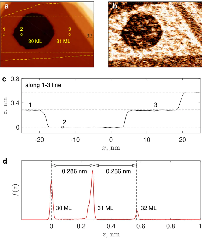 a, b - Topography image after plane subtraction and the corresponding map of the differential conductance (image size after correction: \(50\times 35\) nm\(^2\), mean bias voltage: \(U=+0.40\)V, modulation frequency: 7285 Hz, modulation amplitude: 40 mV, mean tunneling current: \(200\)pA), c - Profile of the surface along the line passing through points 1, 2 and 3. d - Probability density function \(f(z)\) of apparent heights, extracted from the topography image (see the area inside the dotted rectangle in panel a). All dashed lines in panels c and d are equally spaced, with a spacing corresponding to the theoretical thickness of a Pb(111) monolayer (0.286 nm).