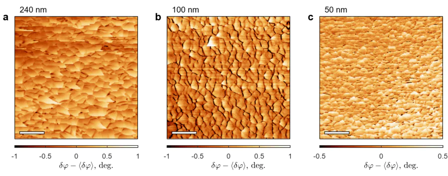 a, b, c -- Comparison of the phase-shift maps \( \delta\varphi(x,y) \) acquired for the Nb films of various thicknesses: 240 nm (panel a), 100 nm (panel b) and 50 nm (panel c). Scale bars correspond to \( 1\,\mu \)m (image size \( 5\times 5\,\mu \)m\( ^2 \), \( T=8.53\, \) K (a), 8.72 K (b) and 7.93 K (c), scanning height 80 nm, regime of the constant frequency 66.937 kHz (a), 48.178 kHz (b) and 62.804 kHz (c)). The images in panel a-c utilize the same datasets as Fig.~2,e-g in Ref. [55]. 