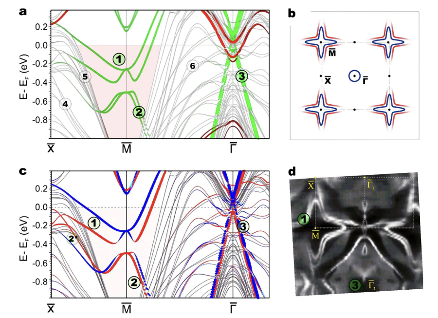 Surface-related electronic structure of AFM-ordered GdRh\( _2 \)Si\( _2 \).(a) Calculated electronic band structure for a slab of AFM-ordered GdRh\( _2 \)Si\( _2 \). Surface electronic bands are shown in red for the Gd-terminated surface and green for the Si-terminated surface. The spin-split electron- and hole-like bands of the Shockley surface state at the \( \bar{{\rm M}} \)-projected band gap are marked as (1) and (2), respectively, while the Dirac-cone bands observed at the \( \bar{\Gamma} \) point are labeled as (3). Bulk-like projected bands are shown in gray and labeled as (4), (5), and (6). (b) Schematic view of the Fermi surface for the discussed two-dimensional electron systems (2DESs) at the center of the Brillouin zone and at the \( \bar{{\rm M}} \) point. Note that the lower of the two spin-split bands (1) of the Shockley state shown in (a) does not reach the Fermi energy along the \( \bar{{\rm M}} \)–\( \bar{{\rm X}} \) direction. (c) Calculated spin-resolved electronic band structure for the Si-terminated GdRh\( _2 \)Si\( _2 \) surface. The contribution of the topmost Si–Rh–Si–Gd block to the spin vector components is shown. Majority and minority bands are displayed in red and blue, respectively. The spin-polarized 2DESs are labeled in accordance with panel (a). (d) ARPES-derived Fermi surface of AFM-ordered, Si-terminated GdRh\( _2 \)Si\( _2 \), measured at a temperature of 1 K using 45 eV photons[109].