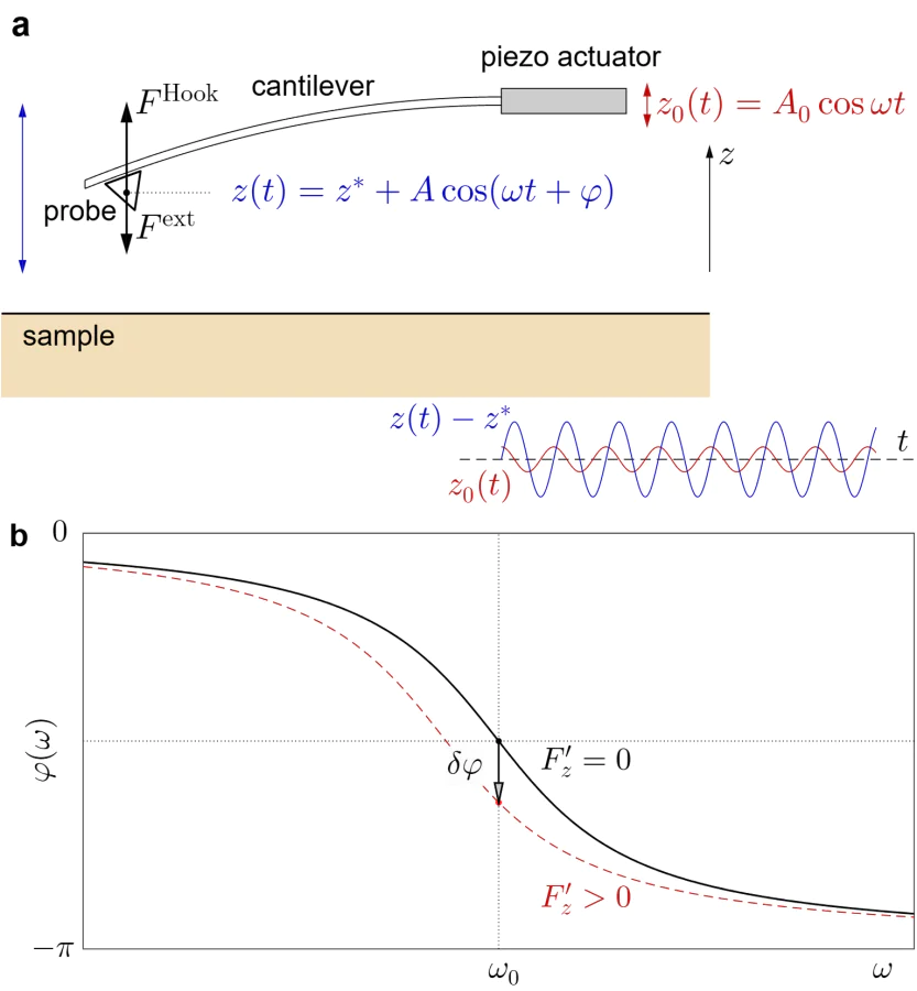 a -- Schematic presentation of a cantilever used both in non-contact atomic-force microscopy and magnetic-force microscopy. Inset shows schematically instantaneous displacements of the piezo-actuator (red line) and the probe (blue line); the phase of the probe oscillations lags behind the excitation at about \( -\pi/2 \).b -- Frequency dependence of the phase shift between the excitation and the displacement of the probe. 