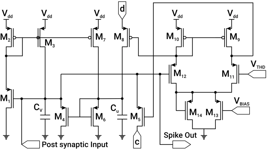 Illustration of the cortical neuron circuit, based on 14 MOSFETs and emulated Izhikevich neuron model. This figure was adapted and modified from Ref. [39].