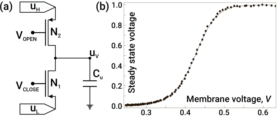 a – Voltage-dependent silicon ion channel model based on two transistors. b – Simulation of steady state voltage level (\( u_V \)) versus the membrane voltage (\( V \)). Note that \( V_{\rm OPEN} \) and \( V_{\rm CLOSE} \) are proportional to \( V \) and \( −V \) respectively. These images were adapted and modified from Ref. [37].