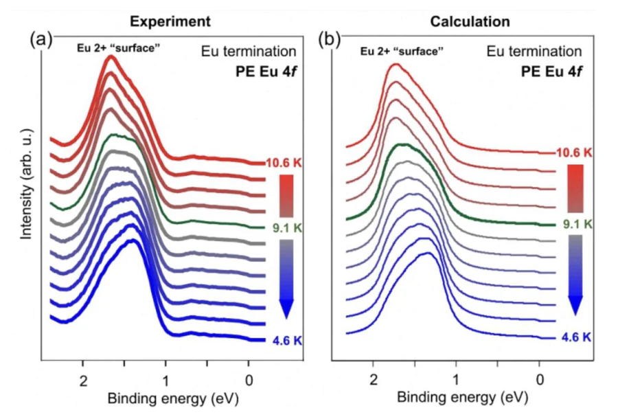 FM properties of the Eu-terminated EuIr\( _2 \)Si\( _2 \).(a) Measured and (b) calculated normal-emission PES spectra of the Eu\( ^{2+} \) 4\( f \) multiplet for the Eu-terminated surface as a function of temperature, with spectra taken using circularly polarized photons of 110 eV. In the calculations, a critical temperature of 9.5 K and magnetization oriented along the [100] direction were assumed[30].