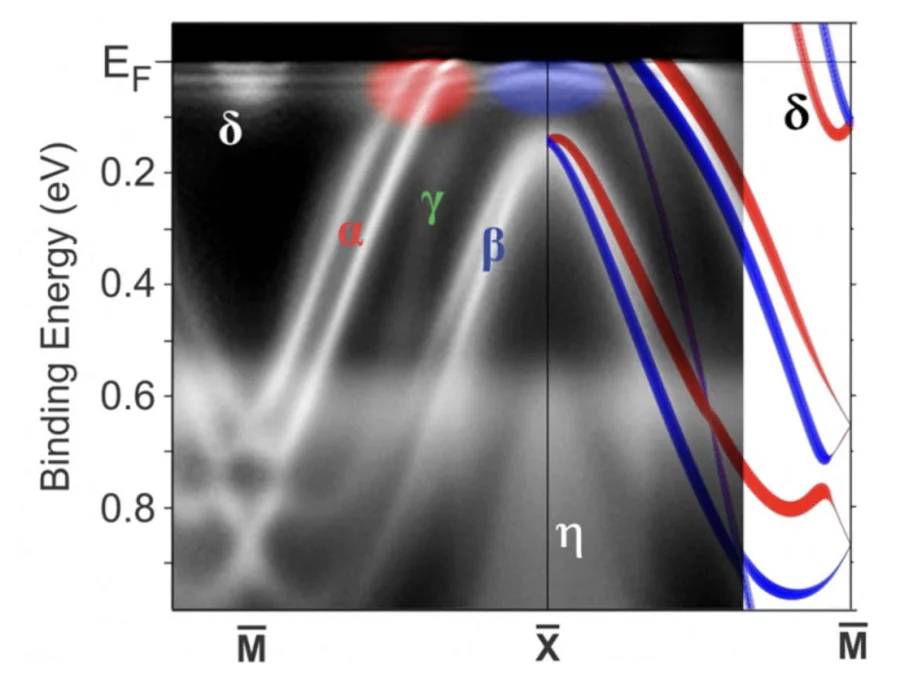 ARPES data taken from the Si-terminated surface of YbIr\( _2 \)Si\( _2 \) at a temperature of 1 K along the \( \bar{\rm M} \)–\( \bar{\rm X} \) direction, superimposed with itinerant bands calculated by DFT. The spin polarization of the calculated bands is indicated by red and blue colors. Regions where the interplay between \( 4f \) and \( spd \) states occurs near \( E_\mathrm{F} \) are highlighted by red and blue patches[120].