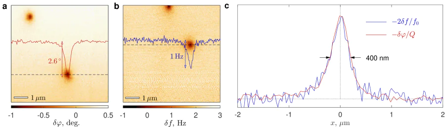 a -- Spatial distribution of the phase shift \( \delta \varphi(x,y) \) for 240-nm thick Nb film at moderate temperatures recorded with disabled frequency-control feedback (image size \( 7\times 7\,\mu \)m\( ^2 \), \( T=7.85\, \)K, scanning height 100nm, measurement frequency 66.936kHz). b -- Spatial distribution of the shift of the resonant frequency \( \delta f(x,y) \) for the same film recorded with active frequency-control feedback (image size \( 7\times 7 \) nm\( ^2 \), \( T=7.17\, \)K, scanning height 100nm, mean resonant frequency 66.941kHz). c -- Comparison of the normalized profiles \( -\delta\varphi(x)/Q \) (along the dashed line in panel a) and \( -2\delta f(x)/f_0 \) (along the dashed line in panel b) and allows us to estimate the quality factor (\( Q\simeq 1500 \)).