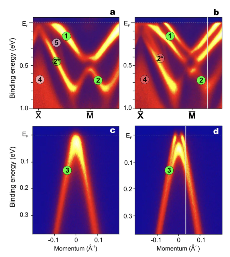Spin splitting of the Shockley surface state and Dirac cone. ARPES data from a Si-terminated GdRh\( _2 \)Si\( _2 \) sample measured with 55 eV photons. Band maps were recorded near the \( \bar{\rm{M}} \) point at 117 K (a) and 19 K (b), and near the \( \bar{\Gamma} \) point at 72 K (c) and 19 K (d), along the \( \bar{\rm{X}} \)–\( \bar{\rm{M}} \) and \( \bar{\rm{X}} \)–\( \bar{\Gamma} \) directions, respectively. White vertical lines mark the energy-distribution curves used to analyze the temperature-dependent spin splitting. Surface- and bulk-related features are labeled according to the calculated bands shown in Figure 16 in Ref. [109].