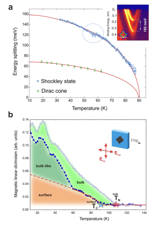 Temperature scales from ARPES and XMLD.(a) ARPES-derived temperature evolution of the spin splitting of the Shockley surface state and the Dirac cone. The solid lines represent fits to both data sets obtained using the Weiss molecular-field approximation to the Heisenberg model[113]. The inset shows the maximum spin splitting of the Shockley state, reaching 185 meV, and schematically illustrates the measurement direction.(b) Temperature dependence of the XMLD signal measured in fluorescence yield (TFY, open symbols) and total electron yield (TEY, solid symbols). TFY probes the bulk magnetization, whereas TEY is more sensitive to the surface region. The dashed lines serve as guides to the eye. The red solid line shows the fit obtained using the Weiss molecular-field approximation to the Heisenberg model[113]. The inset schematically illustrates the experimental geometry of the XMLD experiment[109].