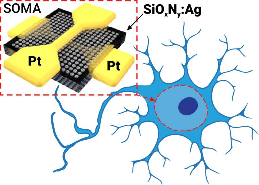 Illustration of the artificial neuron based on a diffusive memristor, consisting of a \( SiO_{x}N_{y}:Ag \) layer between two Pt electrodes.[64]